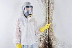 Best Air Quality Testing for Mold Spores  in Woodlands, CA